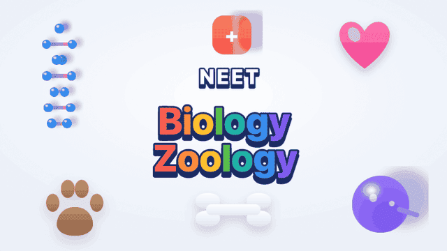 NEET Biology - Zoology