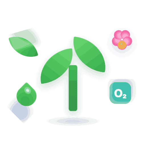Biology Botany